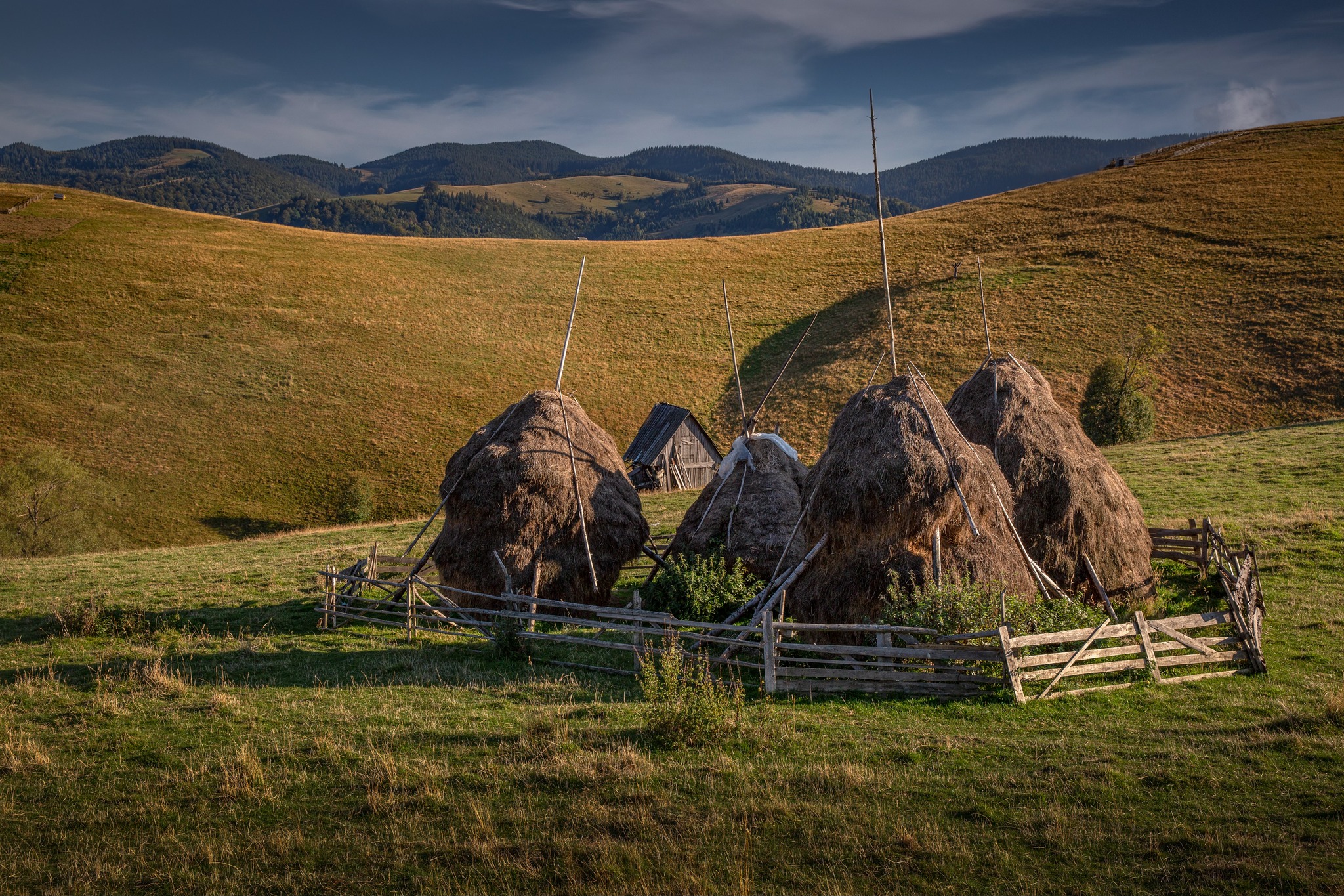 Rural Green landscape